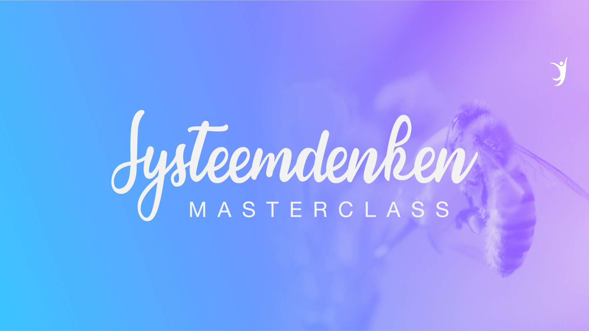 Systeemdenken Masterclass