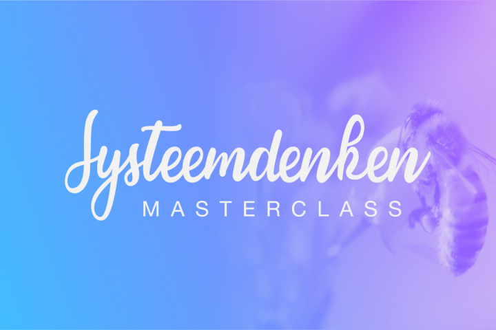 Systeemdenken Masterclass